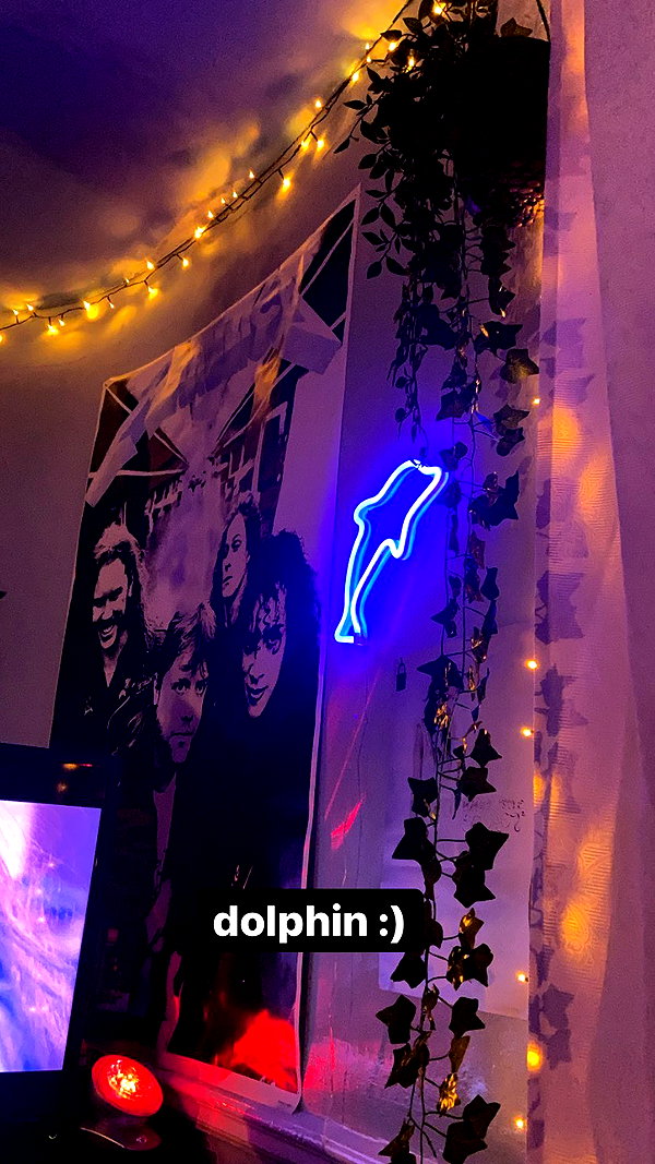 zaperwave zaperwave archive image