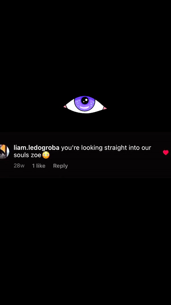 zaperwave instagram image archive image