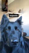 zaperwave Altpins Profile Picture