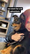 zaperwave Altpins Profile Picture