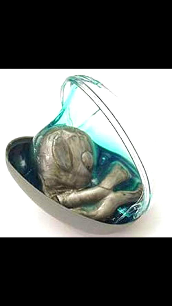 zaperwave zaperwave archive image