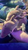 zaperwave Altpins Profile Picture