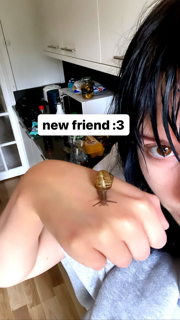 zaperwave instagram image archive image