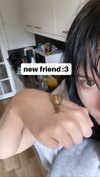 zaperwave Altpins Profile Picture
