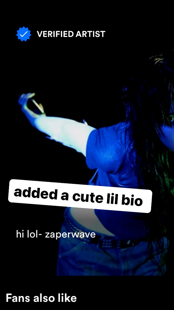 zaperwave zaperwave archive image