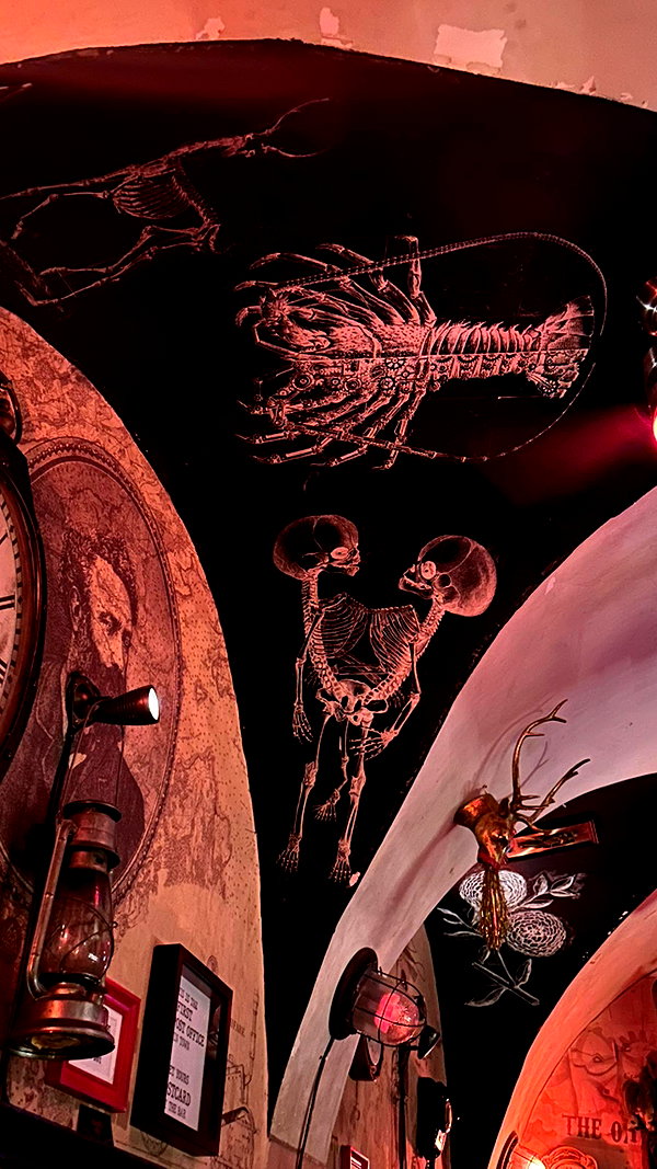 zaperwave instagram image archive image