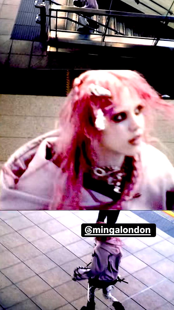 zaperwave instagram image archive image