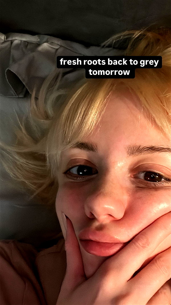 zaperwave instagram image archive image