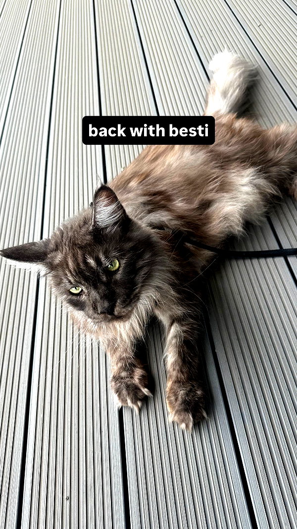 zaperwave instagram image archive image