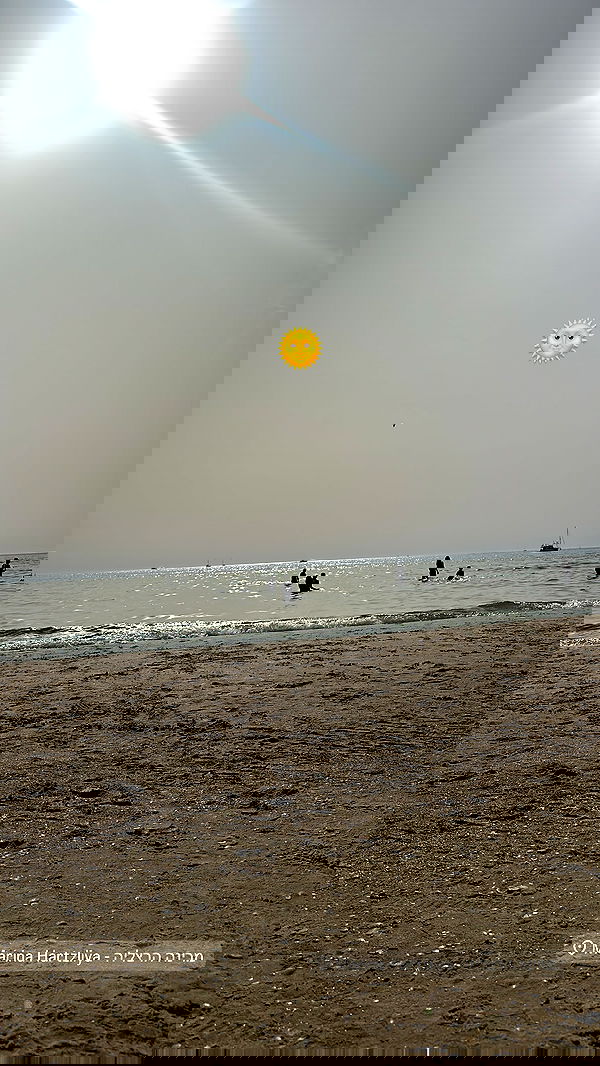 ziv.etach ziv.etach archive image