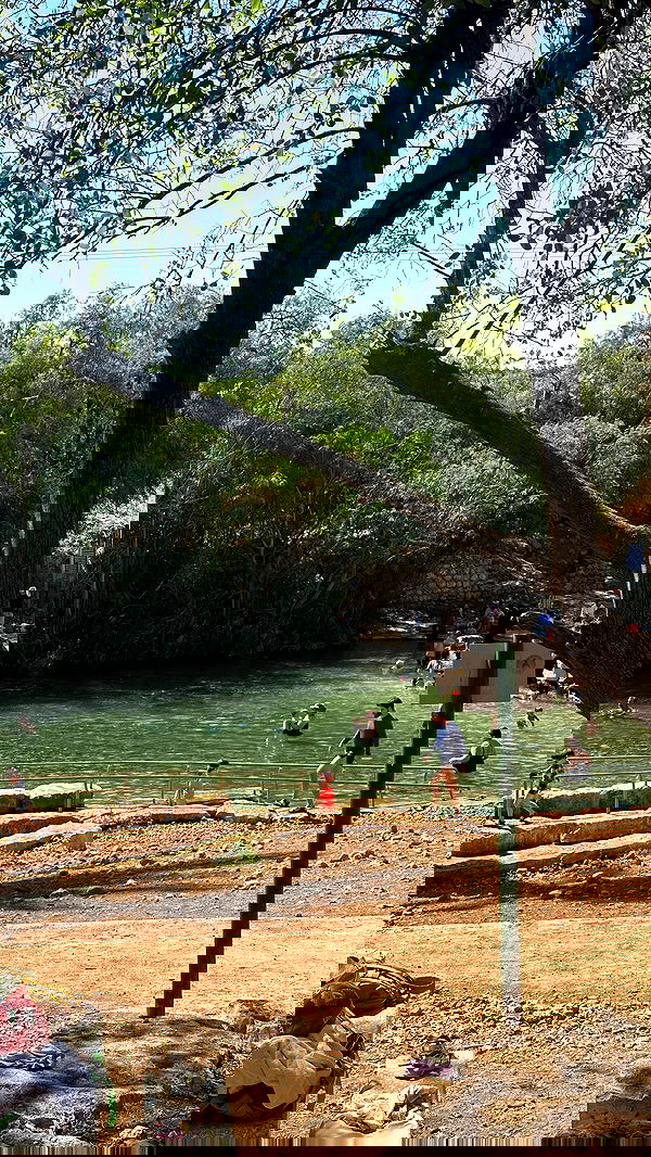 ziv.etach ziv.etach archive image