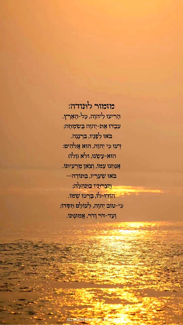 ziv_kabalo instagram image archive image