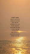 ziv_kabalo Altpins Profile Picture