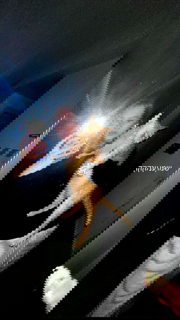 zlata_shipulin zlata_shipulin archive image