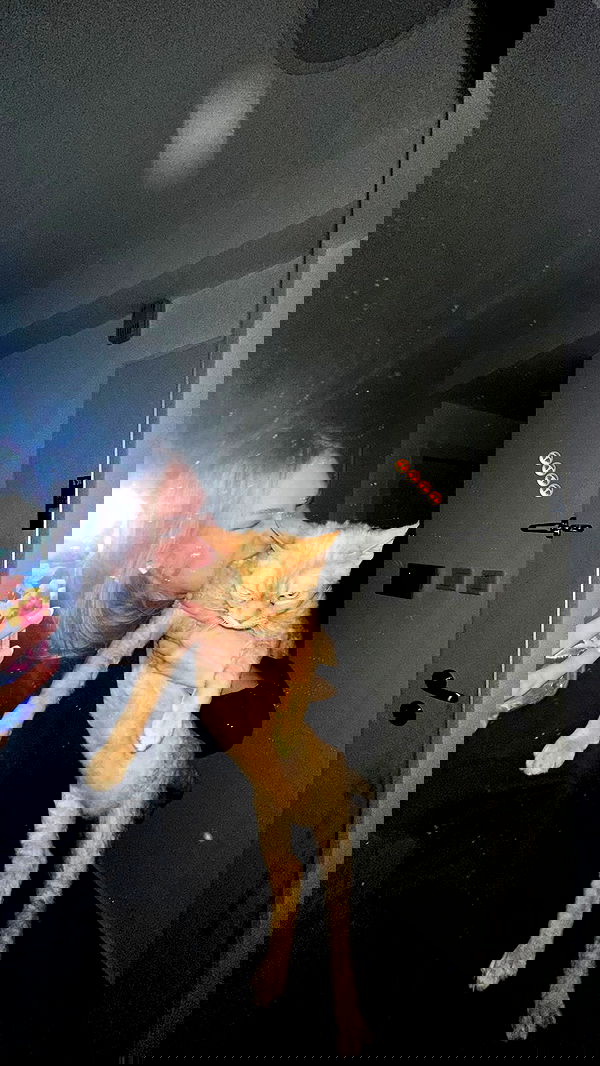 zlata_shipulin zlata_shipulin archive image