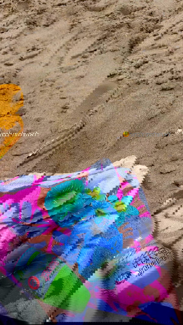 zlata_shipulin zlata_shipulin archive image