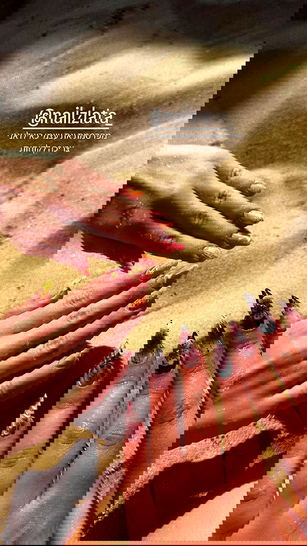 zlata_shipulin zlata_shipulin archive image