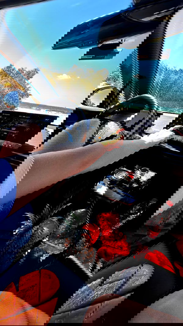 zlata_shipulin zlata_shipulin archive image