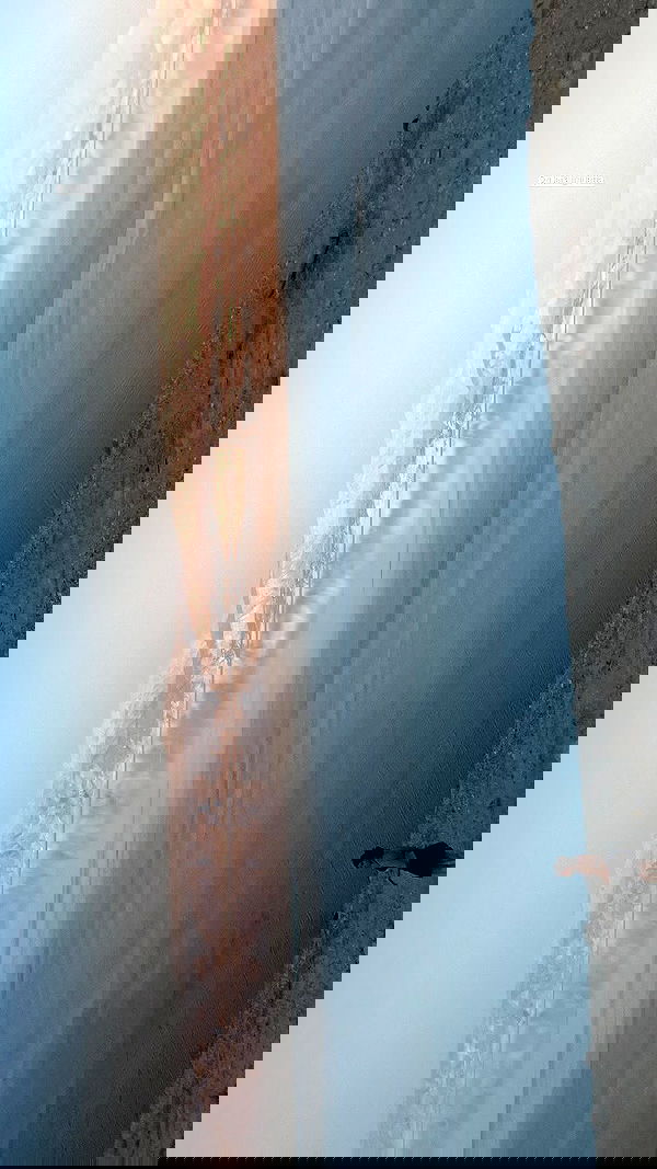 zoelegault_ zoelegault_ archive image