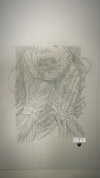 zohar_balaganim Altpins Profile Picture