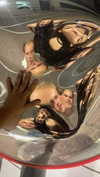 zohar_balaganim Altpins Profile Picture