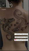 zohar_balaganim Altpins Profile Picture