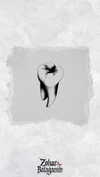 zohar_balaganim Altpins Profile Picture