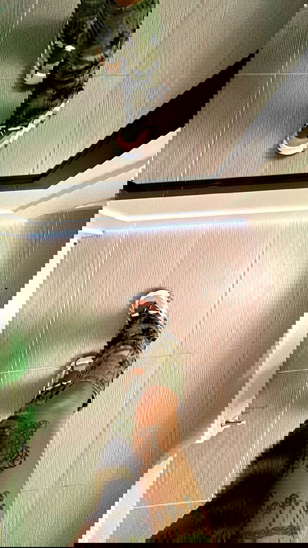 zommmbri image ~ Altpins