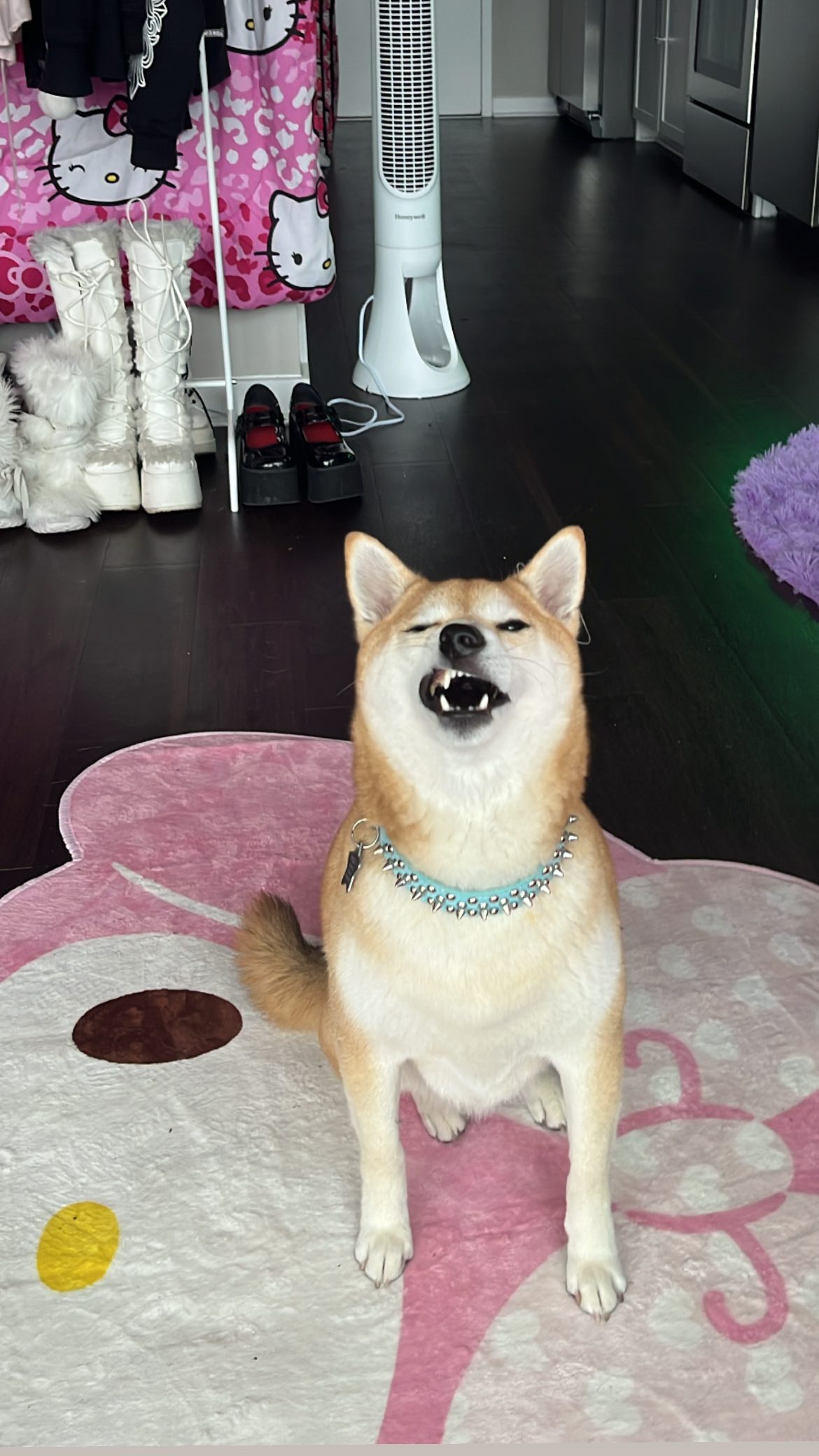 zommmbri instagram image archive image