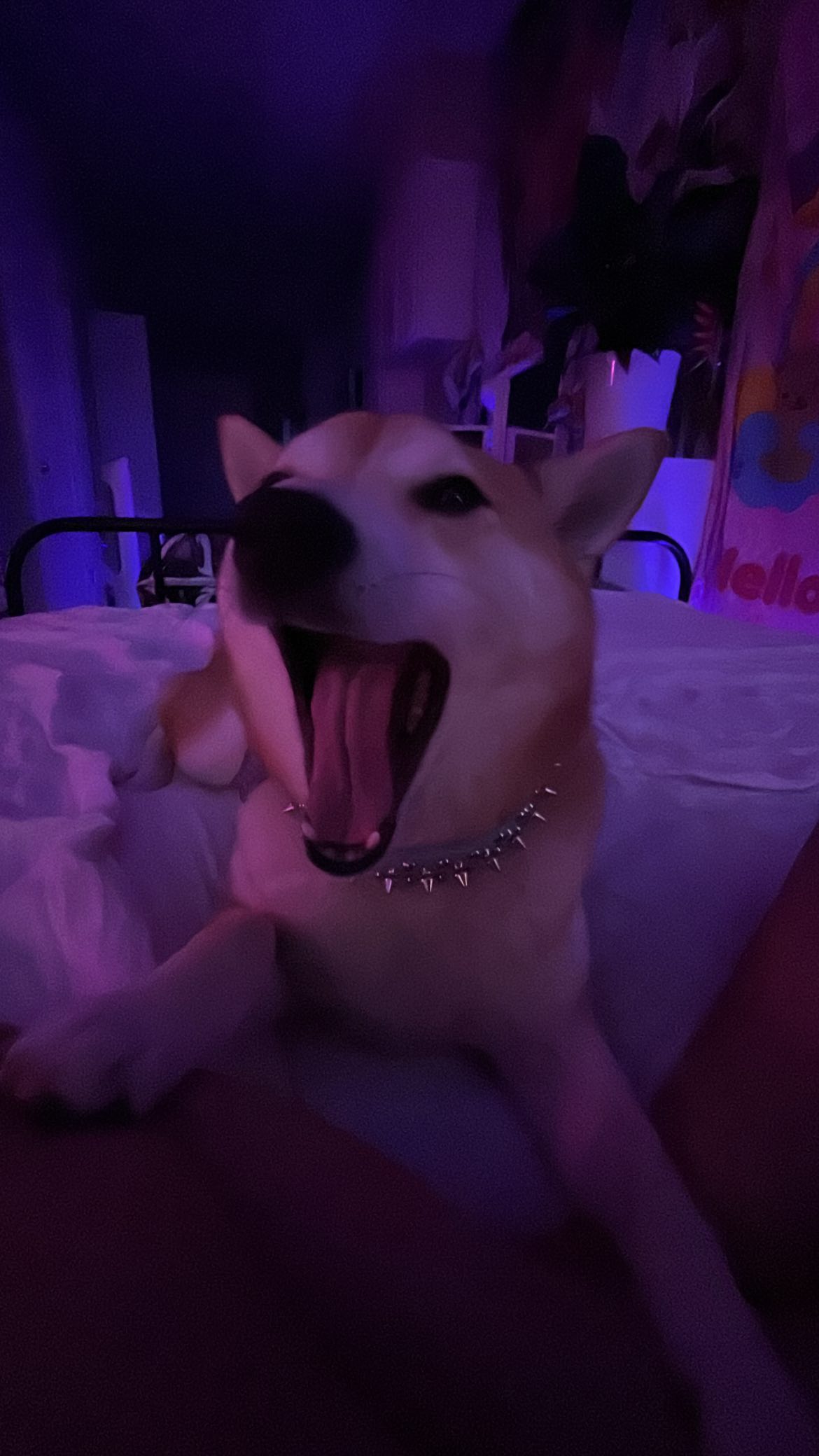 zommmbri instagram image archive image