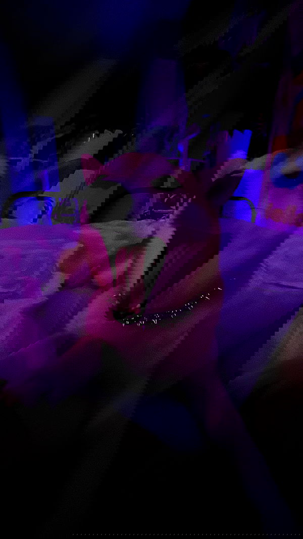 zommmbri image ~ Altpins