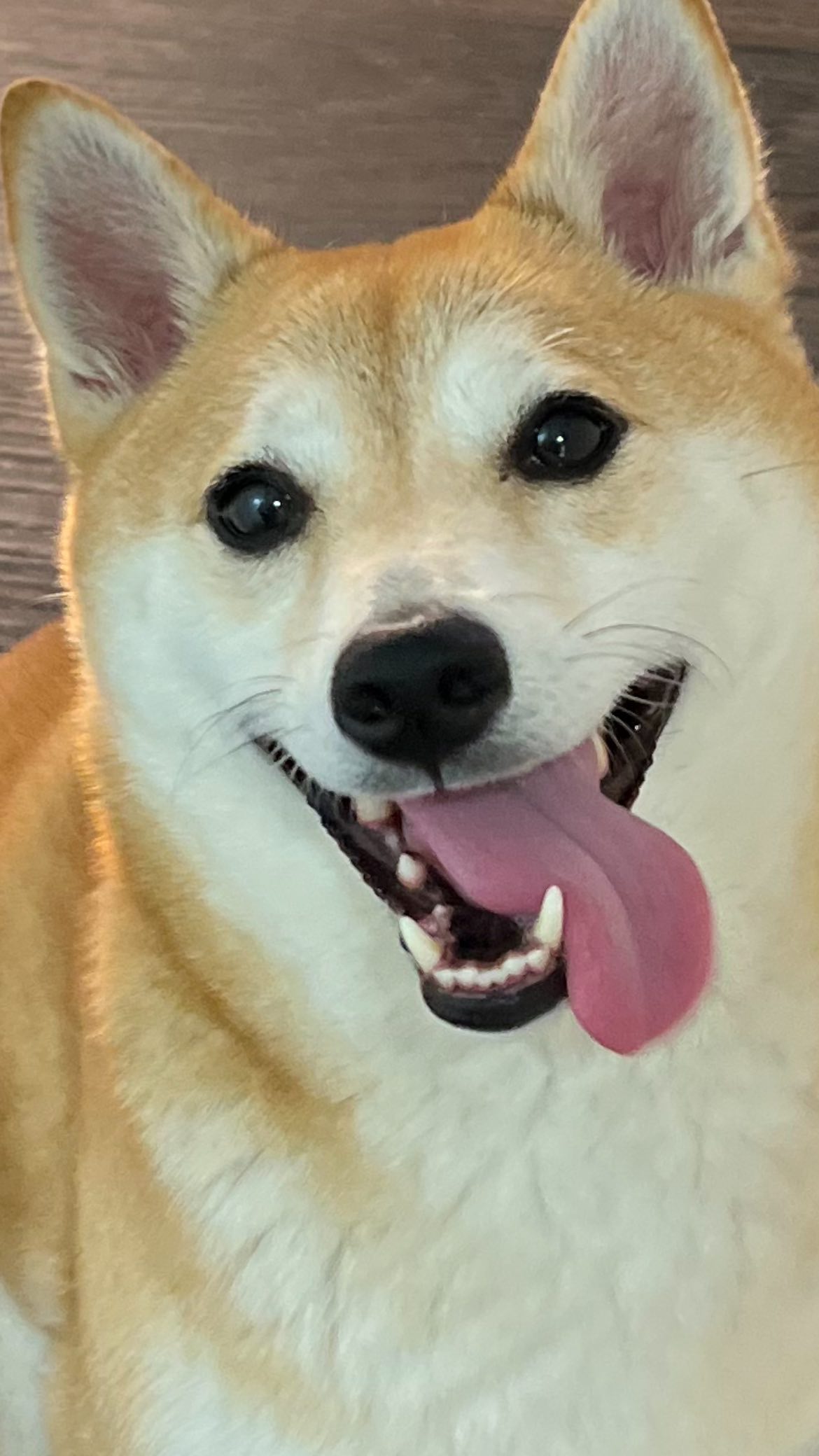 zommmbri instagram image archive image