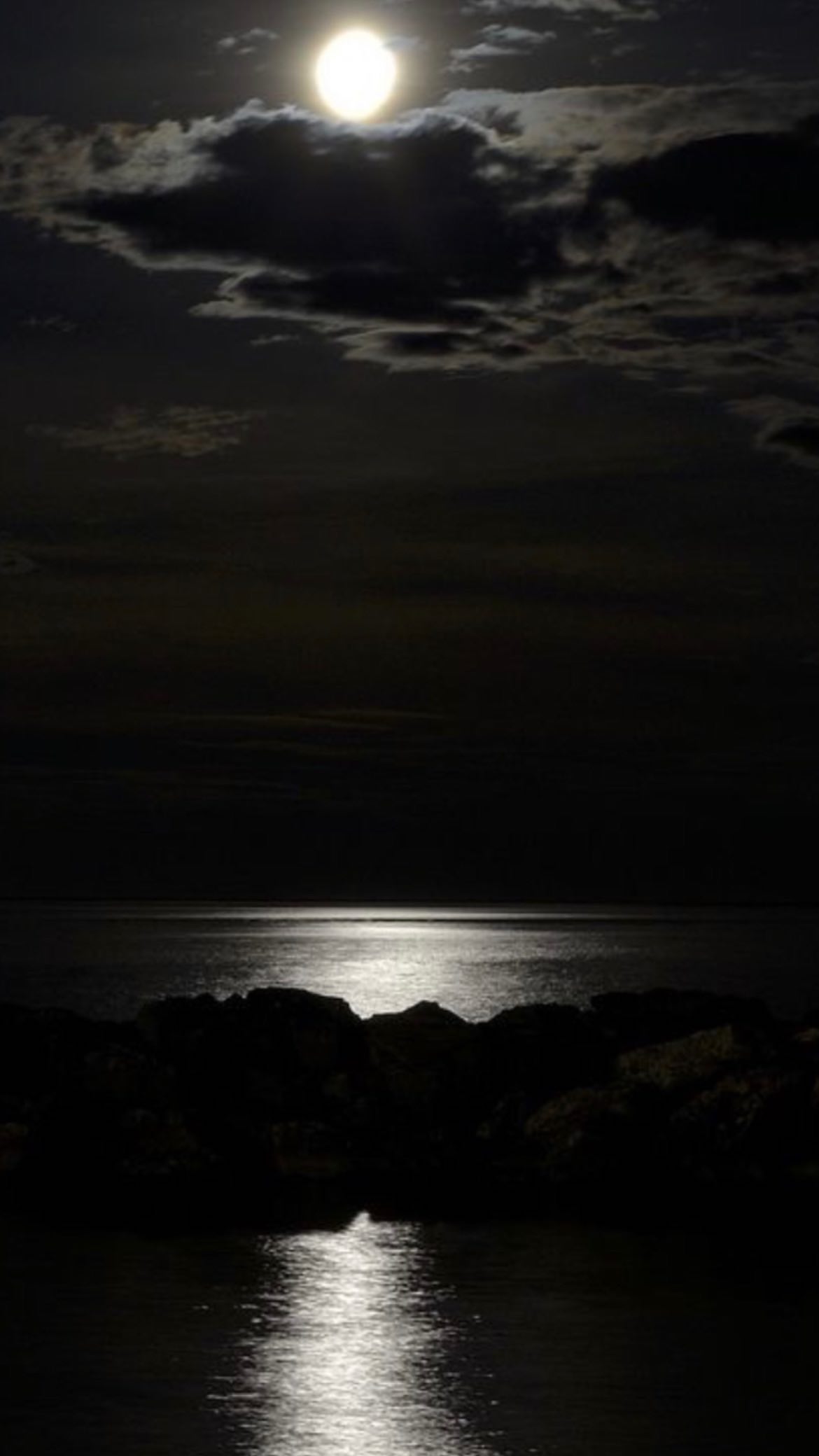 zommmbri instagram image archive image