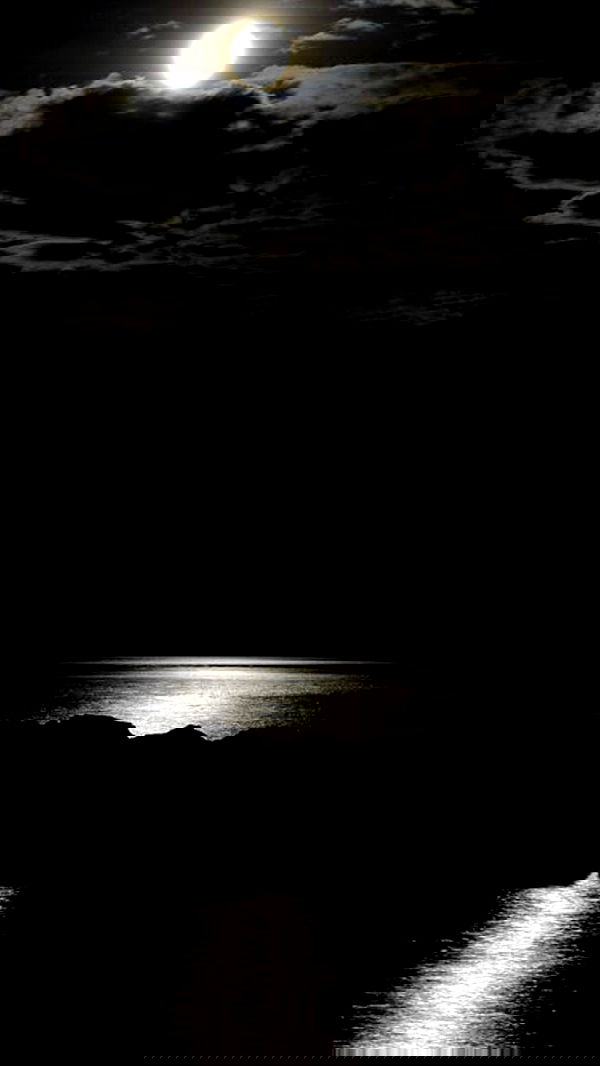 zommmbri image ~ Altpins