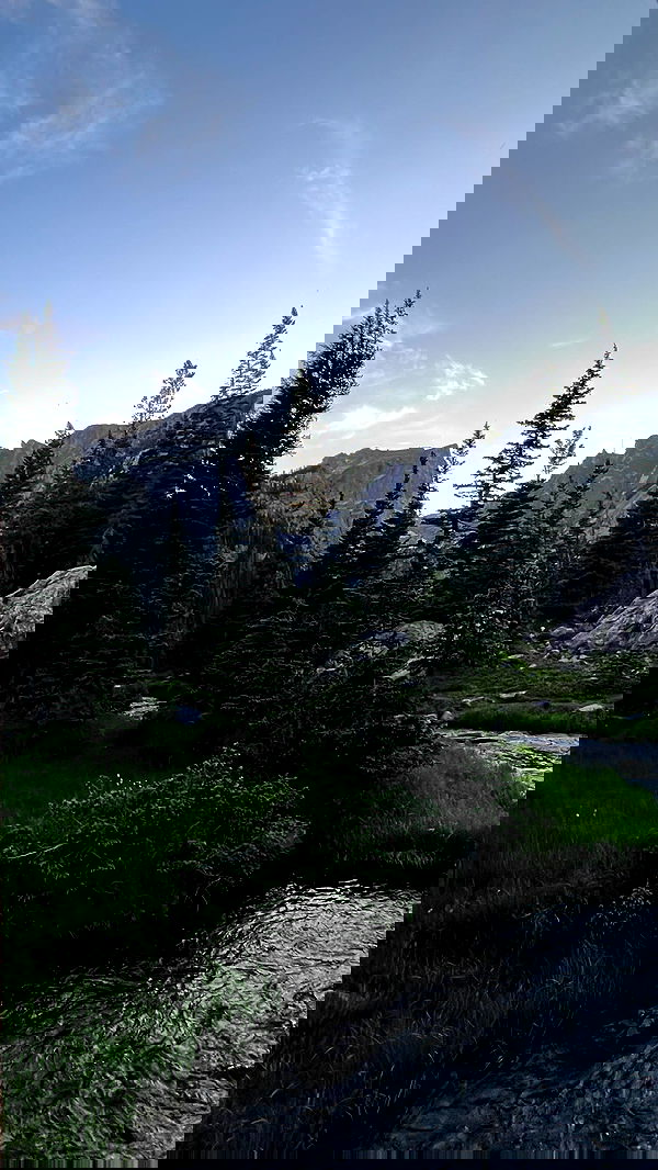 zommmbri image ~ Altpins