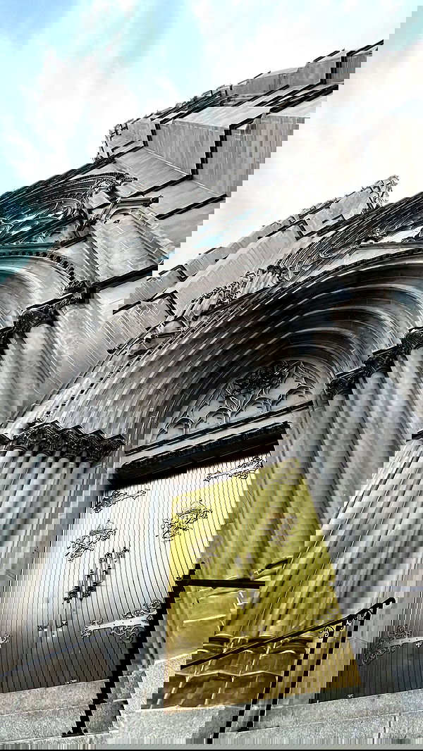 zommmbri image ~ Altpins