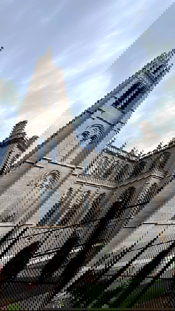 zommmbri image ~ Altpins