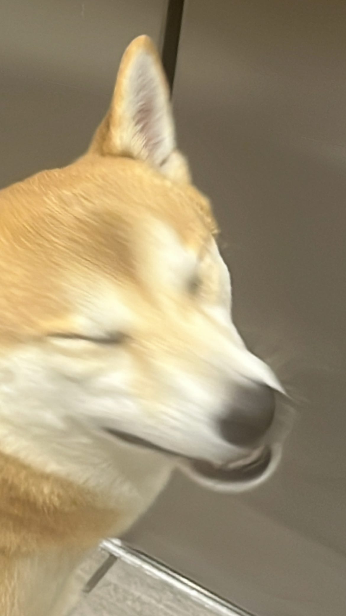 zommmbri instagram image archive image