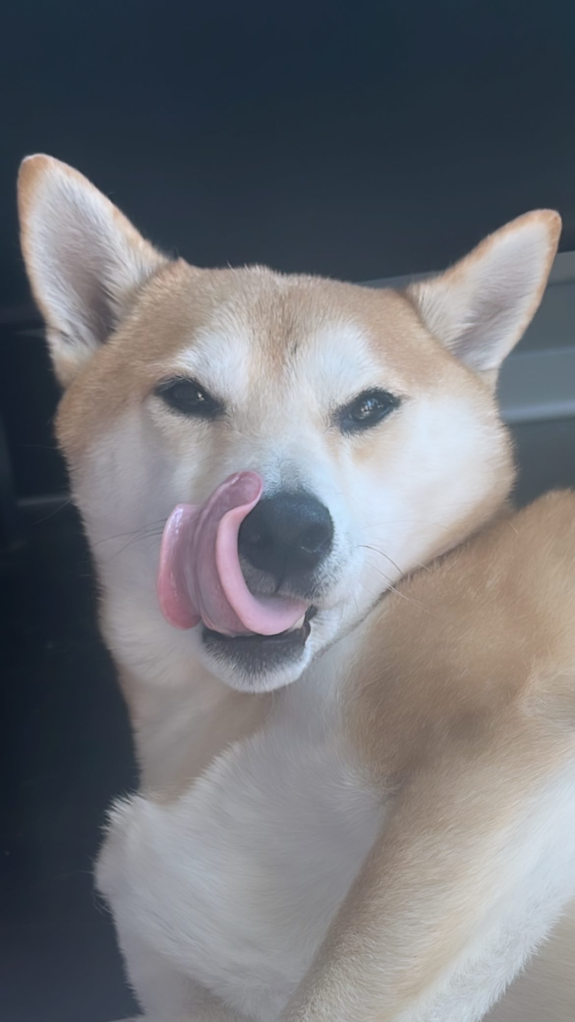 zommmbri instagram image archive image