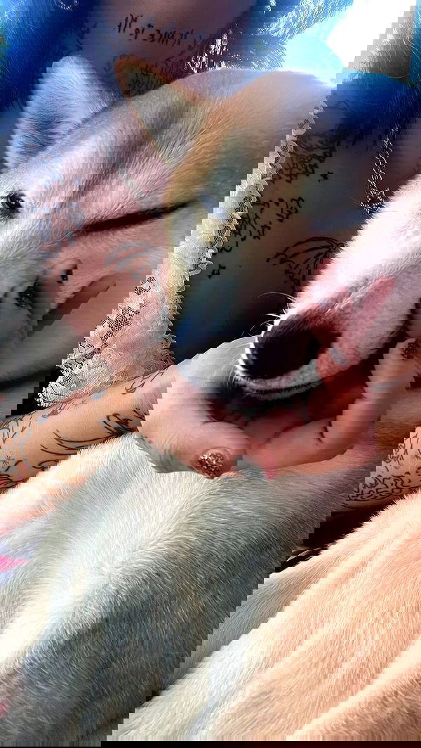 zommmbri image ~ Altpins