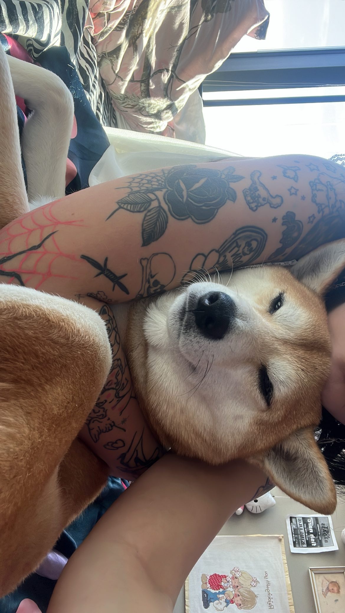 zommmbri instagram image archive image