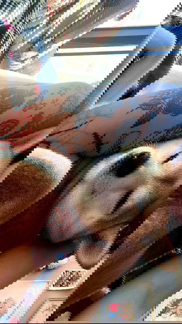 zommmbri image ~ Altpins