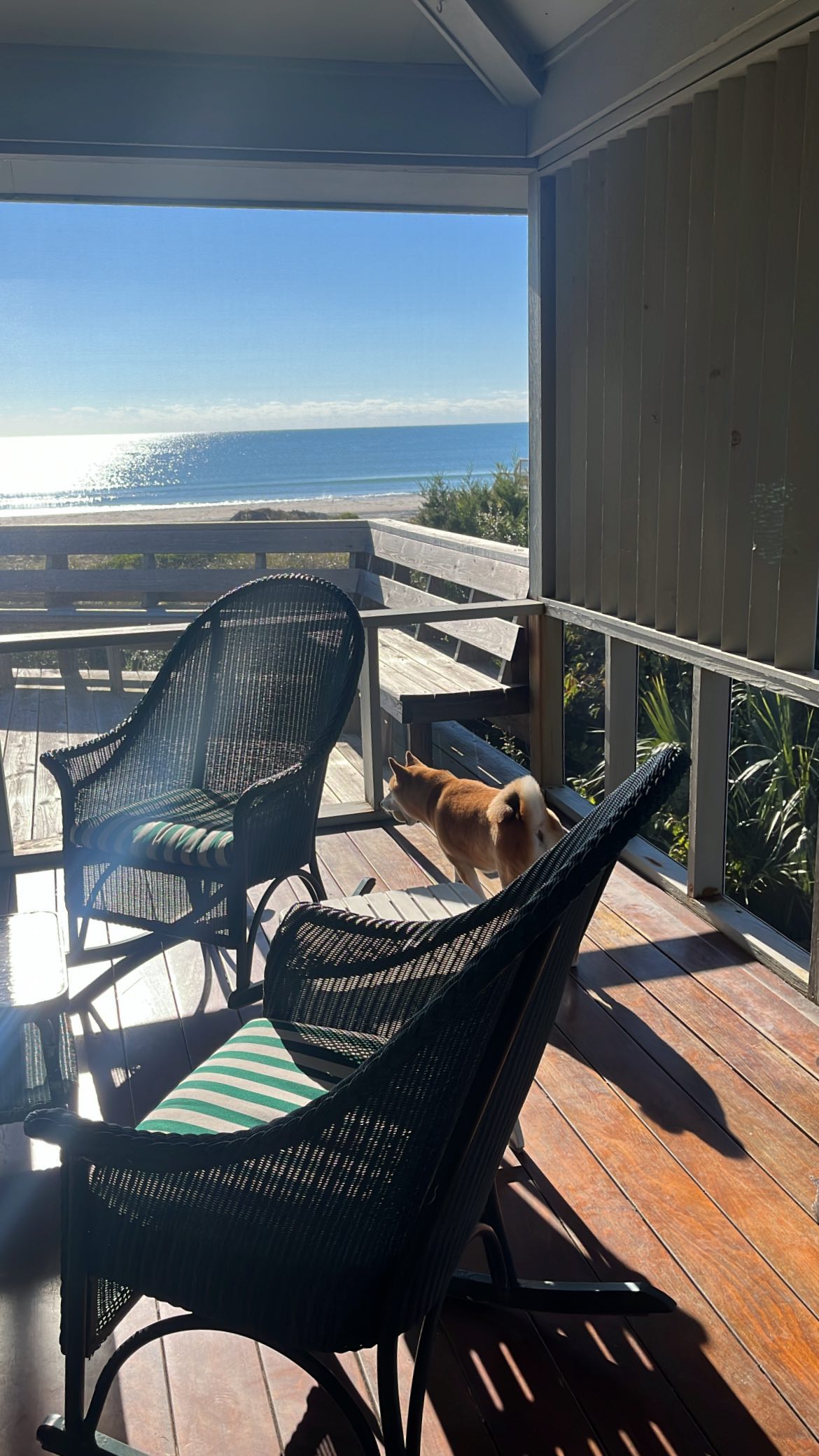 zommmbri instagram image archive image