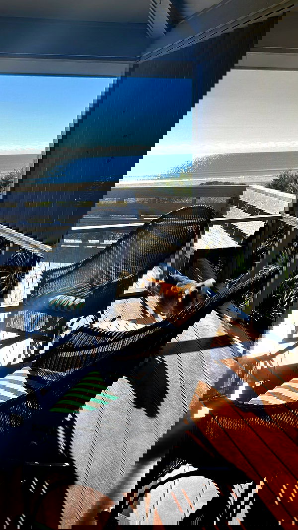 zommmbri image ~ Altpins