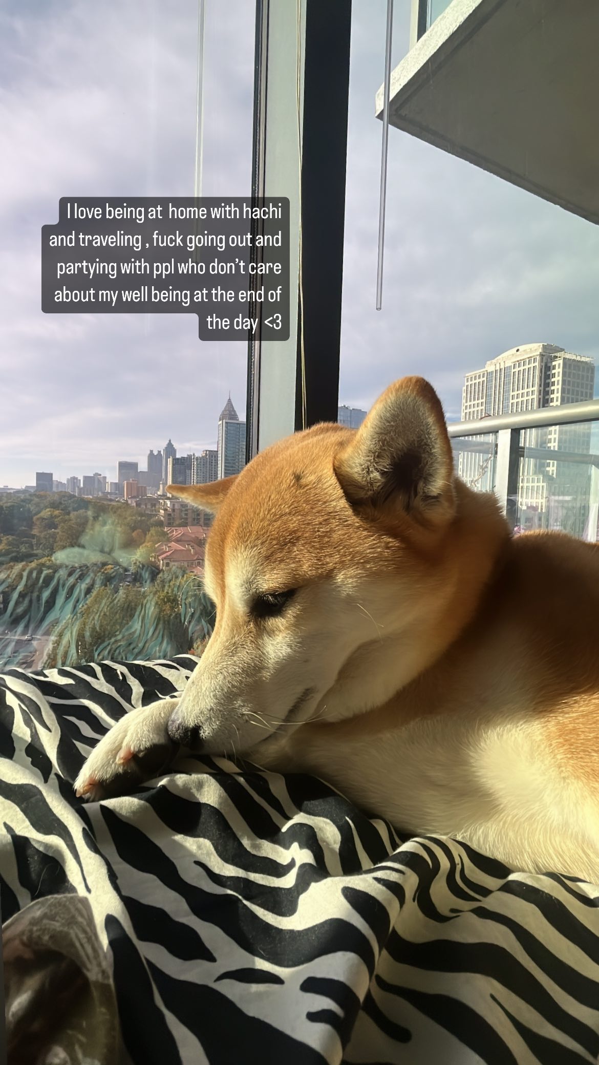 zommmbri instagram image archive image