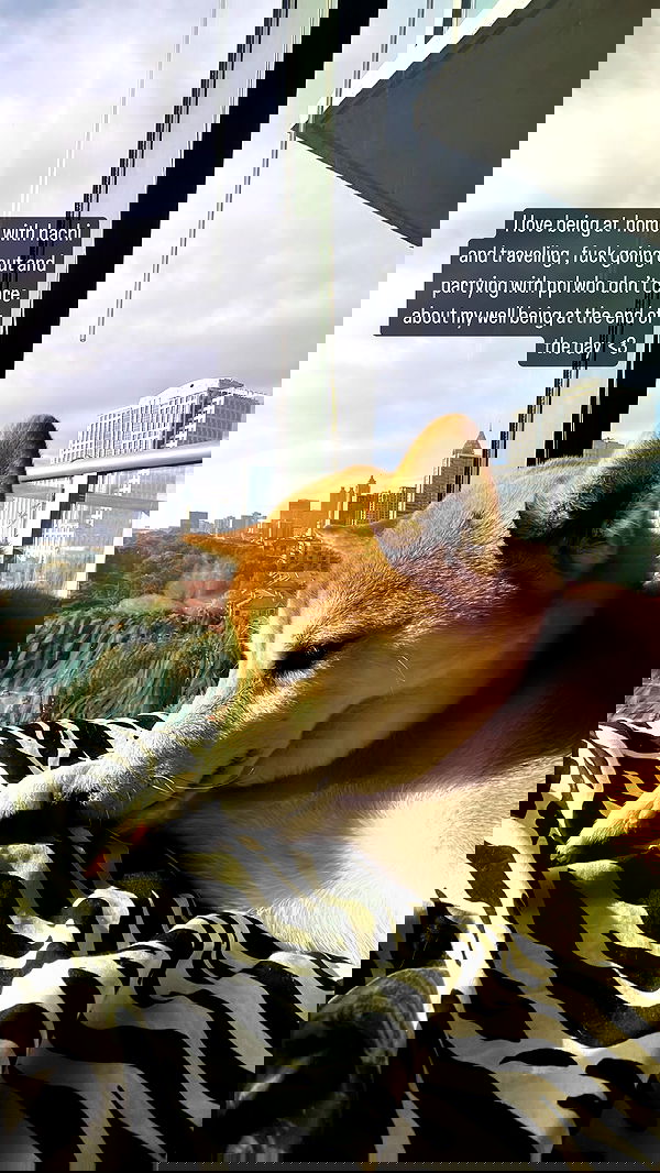 zommmbri image ~ Altpins