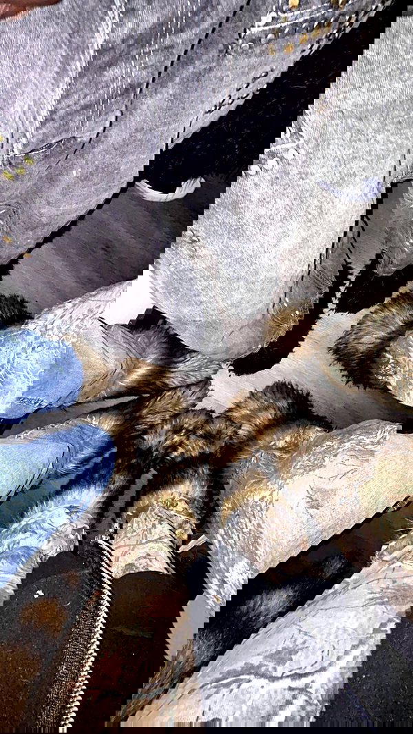 zommmbri image ~ Altpins