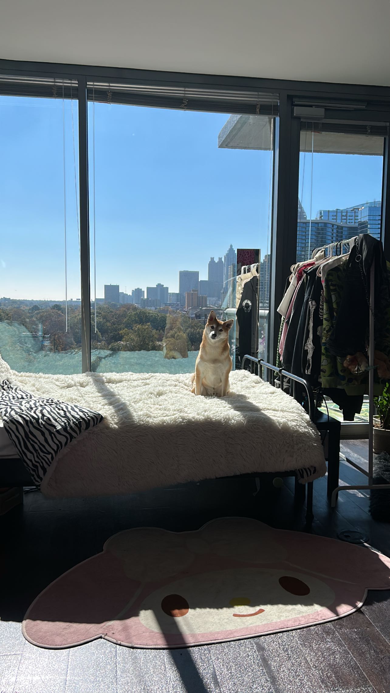 zommmbri instagram image archive image