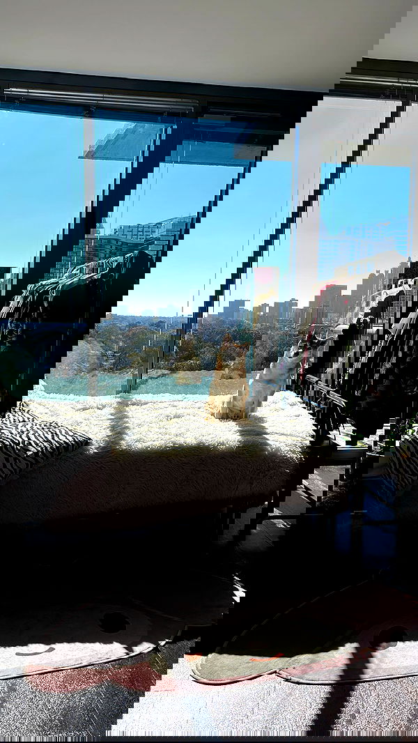 zommmbri image ~ Altpins