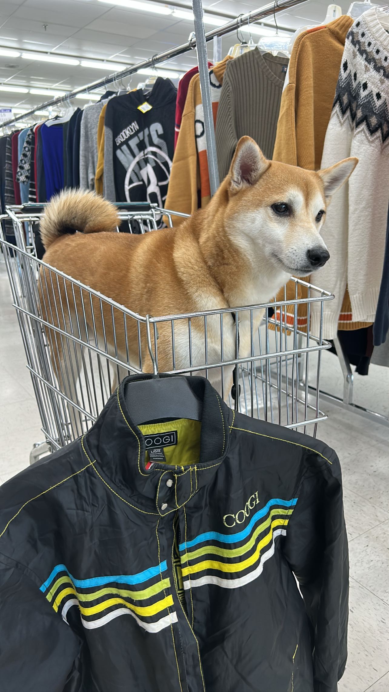 zommmbri instagram image archive image